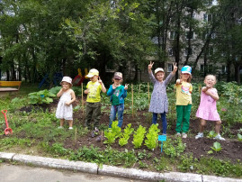 Посадили огород, наблюдаем что растет Посадили огород, наблюдаем что растет.